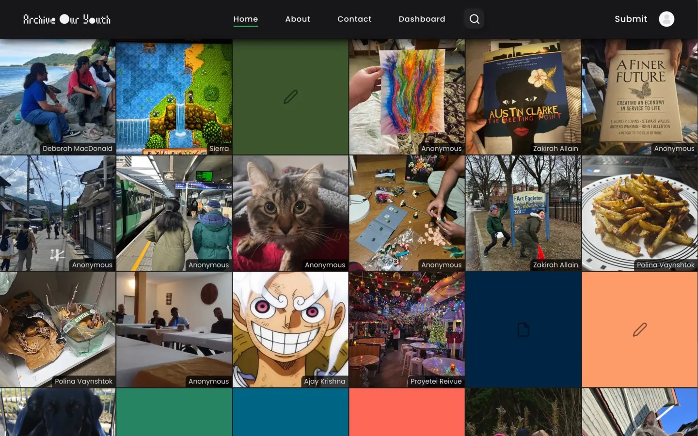 ArchiveOurYouth screenshot 2